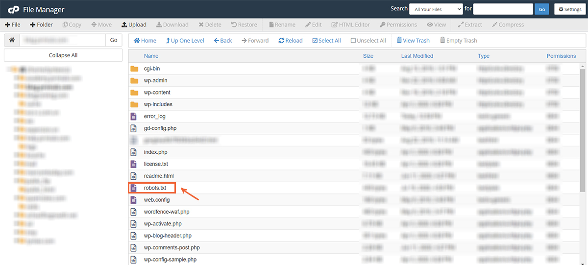 Tệp robots.txt trong thư mục gốc